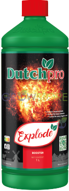 Dutch Pro Explode - The Grow Store
