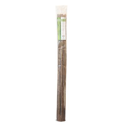 Bamboo Canes x 25 Pack - The Grow Store