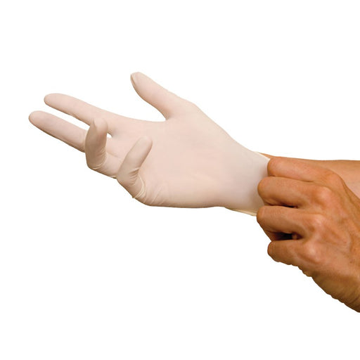 Powder Free Vinyl disposable Gloves x 100