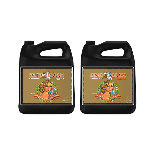 Advanced Nutrients Sensi Coco Bloom A&B - The Grow Store