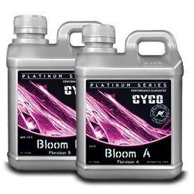 Cyco Bloom A&B