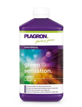 Plagron Green Sensation
